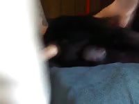 K9 dog sex with dog fucker gay