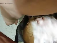 Amateur dog sex with a gay