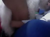 Furry dog got banged on zoo xxx