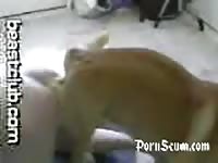 Gay beastiality porn with his pet dog