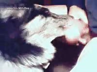 Dog oral sex with big dick guy