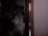 Beastiality video got caught on cam