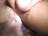 Veiny dog's cock in a man's ass beastiality porn