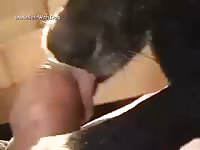 Dog oral sex with a nasty gay
