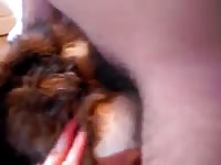 Stuffed animal sex toy got banged