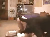 Cute gay got dogstyled on the floor homemade beastiality
