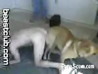 Ohknotty dog sex with gay