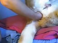 Fisting a dog in beast tubes