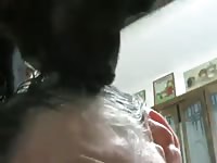 Dog xxx licking the cum of owner