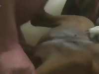 Hot dog porn with dog's tight pussy