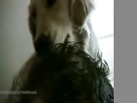 Animal porn dog licking man's cum