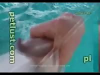 Man on dolphin porn fingering session