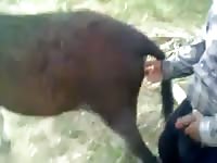 Old man banging a horse xxx ass