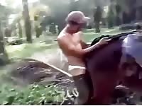 Beastiality lover enjoyed banging a horse