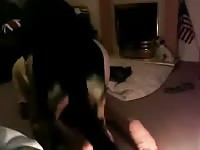 Black dog pouncing on beastie gal's asshole