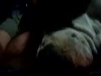 Man enjoying a dog oral sex