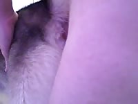Furry pet porn dog anal