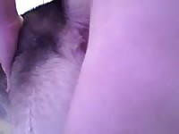Hairy dog pussy on zoophilia porn film