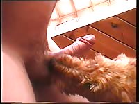 Cute dog deepthroat a fat cock
