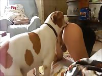 Cute dog licks a nasty gay's ass beastiality taboo