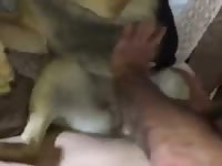 Passionate sex with a pet dog xxx