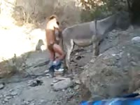 Man caught fucking a horse xxx