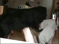 Teen animal sex with black dog