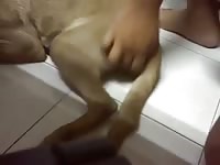 Beastie gal fingering a dog before sex