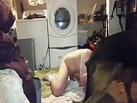 Hot dog sex while doing laundry
