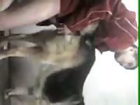 Homemade dog sex with a young man