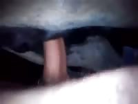 Beastiality porn tube giving horse creampie