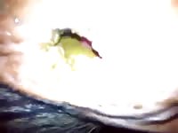 Gay whore on animal sex videos