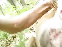 Dog sex in the woods with gay
