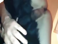 Black furry dog on pet porn