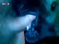 Homemade dog sex with a nasty gay