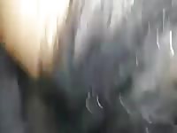 Horse porn video with man's cock