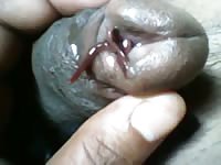 Worms inside a beastie gal dick