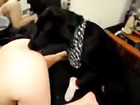 Sexy babe sucking a big dog dick