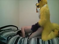 Yellow dog banging an ass of a gay beast porn