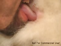 Animal sex videos licking a dog's pussy
