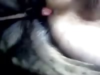 Homemade beastiality sex of gay and pet