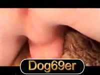 Amateur dog sex with furry pet