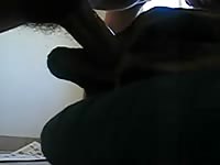 Beastiality porn with gay and dog