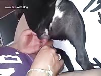 Man fucked his dog on pet porn