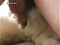 Gay sleeping with his dog before anal sex