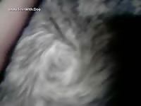 Beast tubes making a dog cum