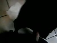 Animal sex pornhub with black dog