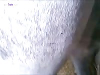 Horse xxx fisting with a man