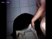 Animal sex with dog and man at CR