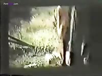 Animal sex fun with gay beat